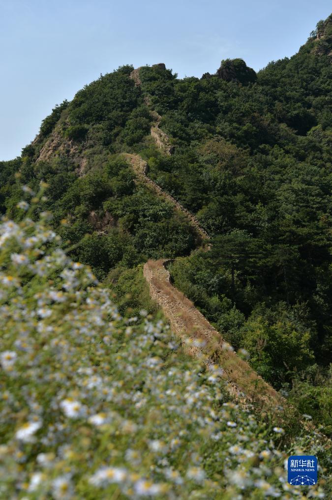 非凡炸金花旧版